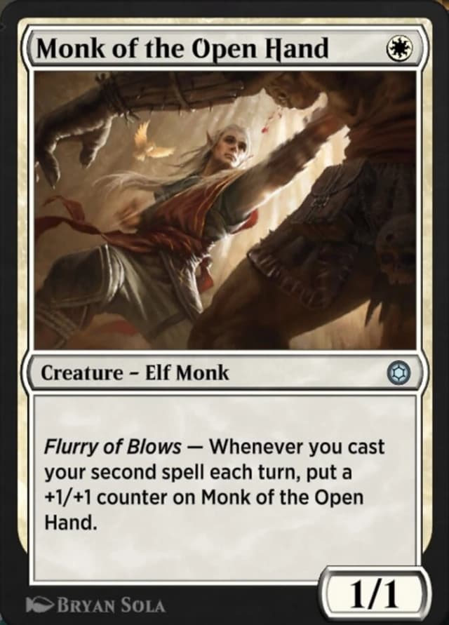 Monk of the Open Hand image
