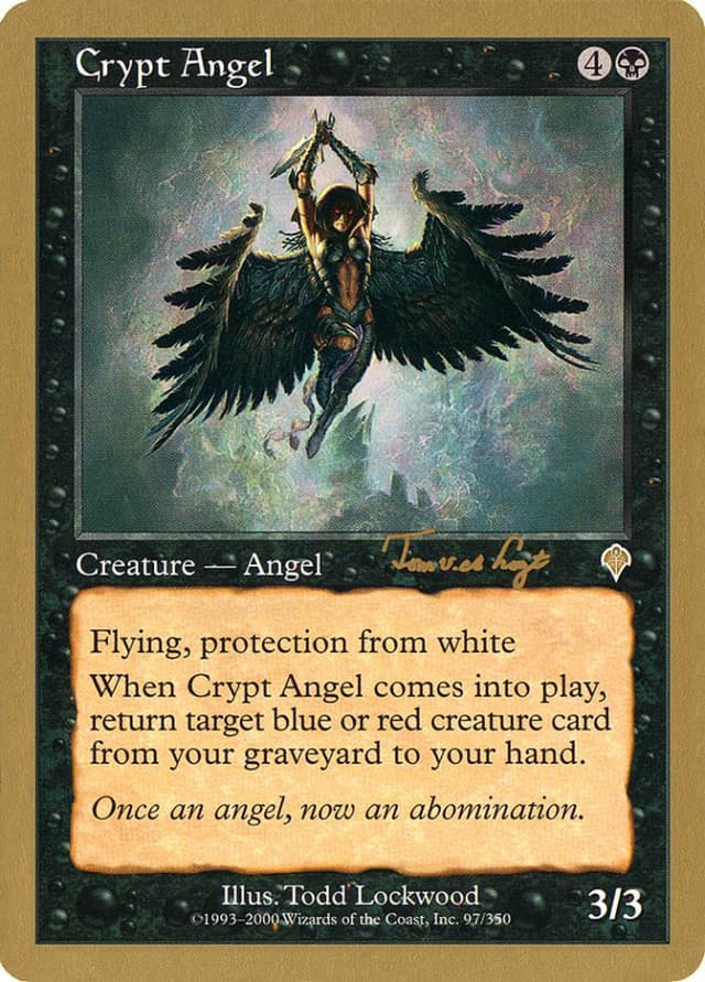 Crypt Angel image
