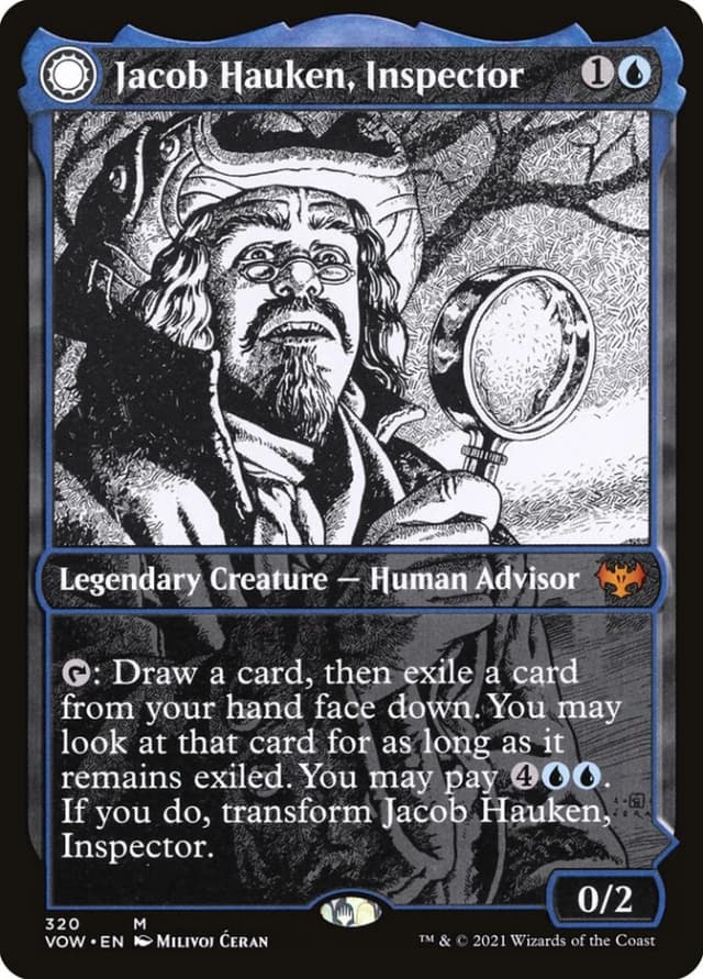 Jacob Hauken, Inspector // Hauken's Insight image