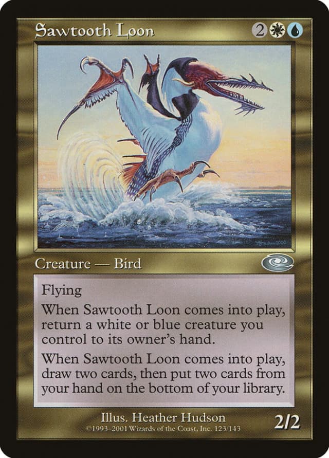 Sawtooth Loon image