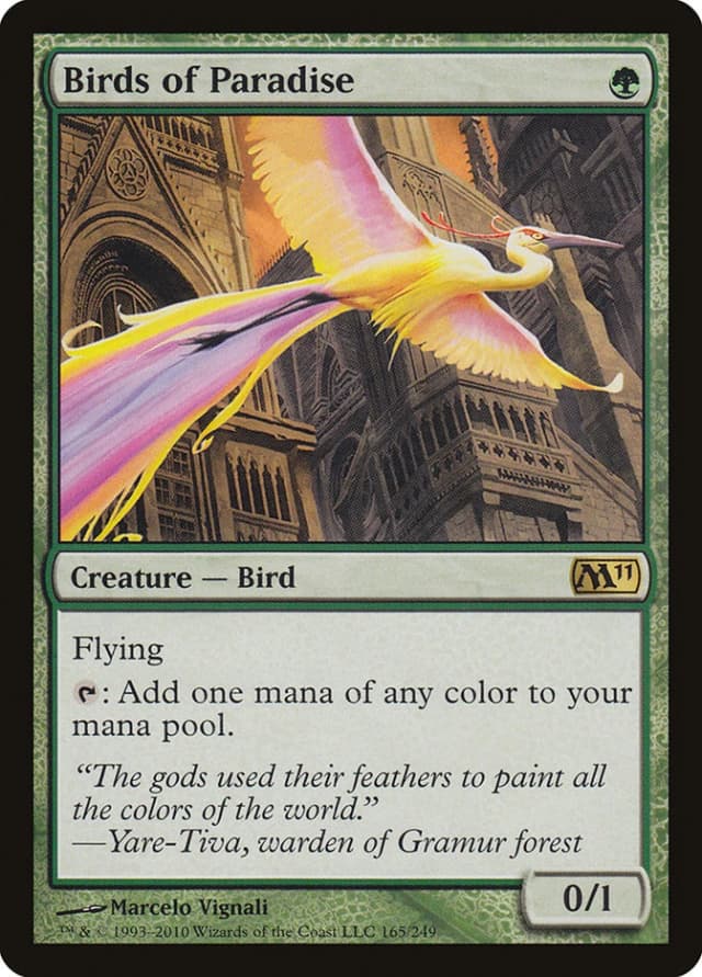 Birds of Paradise image