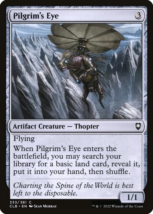 Pilgrim's Eye image
