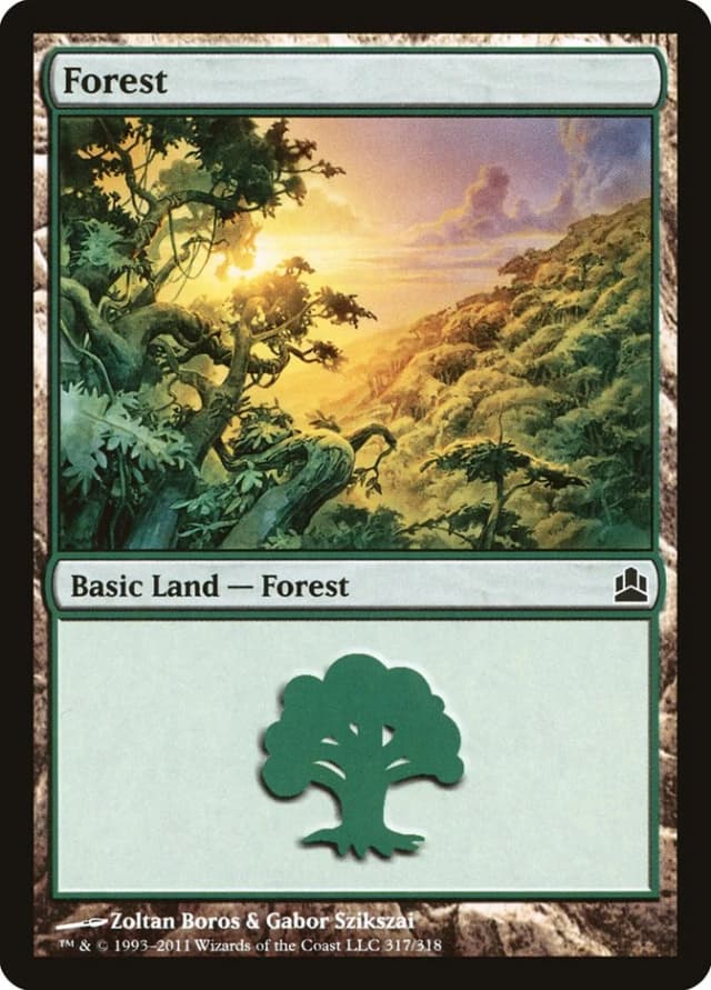 Forest image