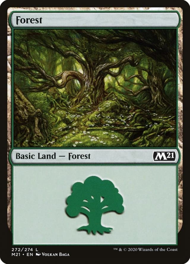 Forest image