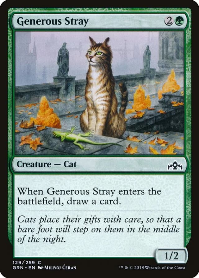Generous Stray image