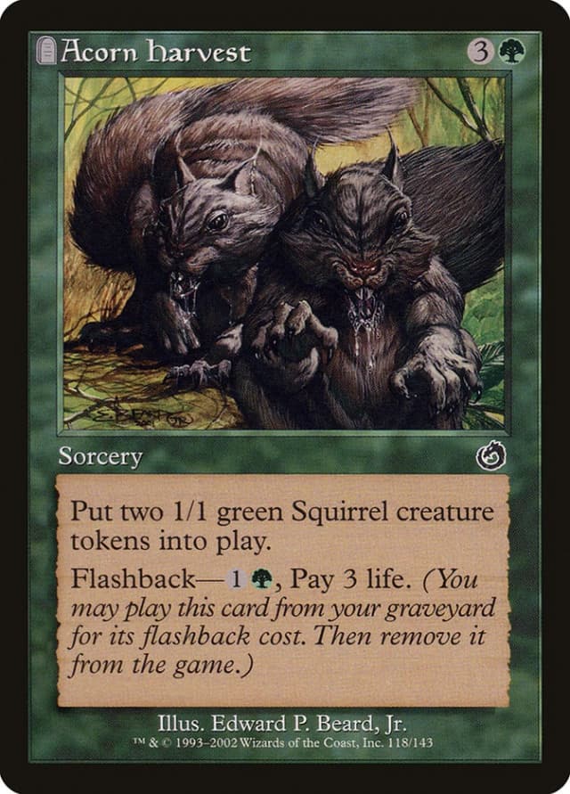 Acorn Harvest image