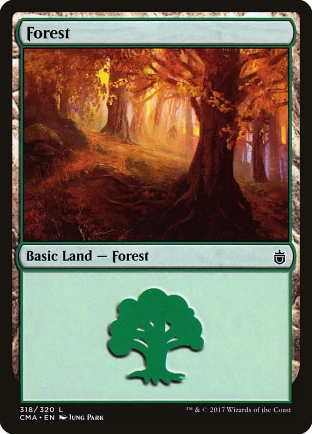 Forest image