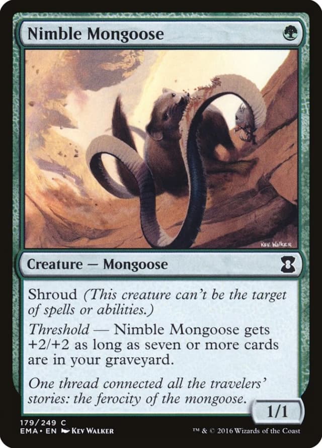 Nimble Mongoose image
