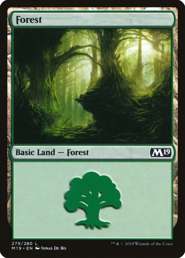 Forest image