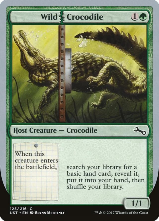 Wild Crocodile image