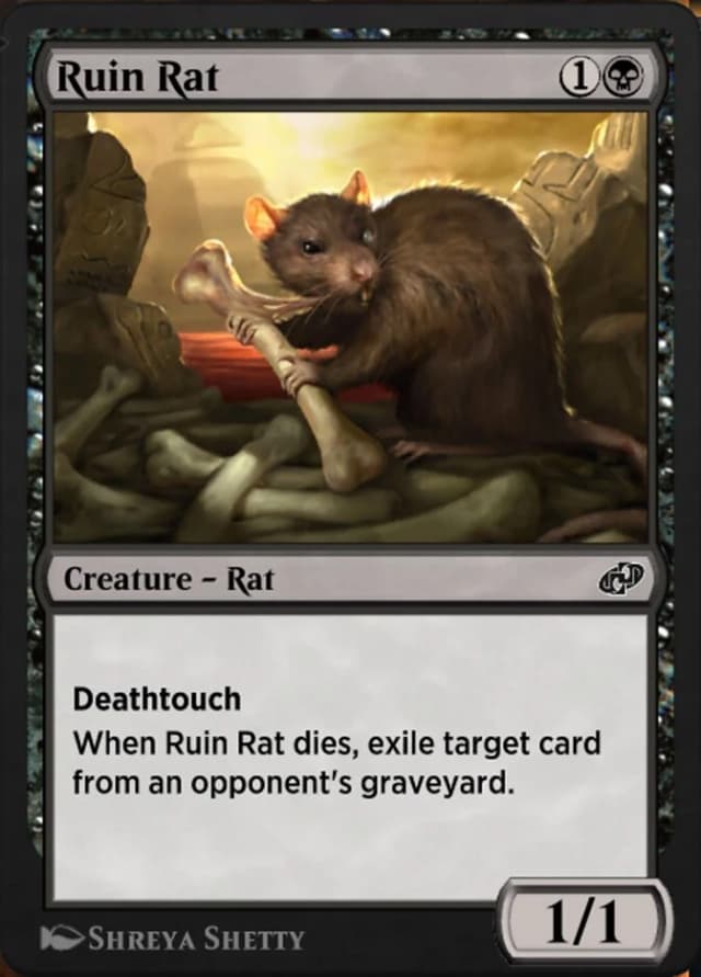 Ruin Rat image