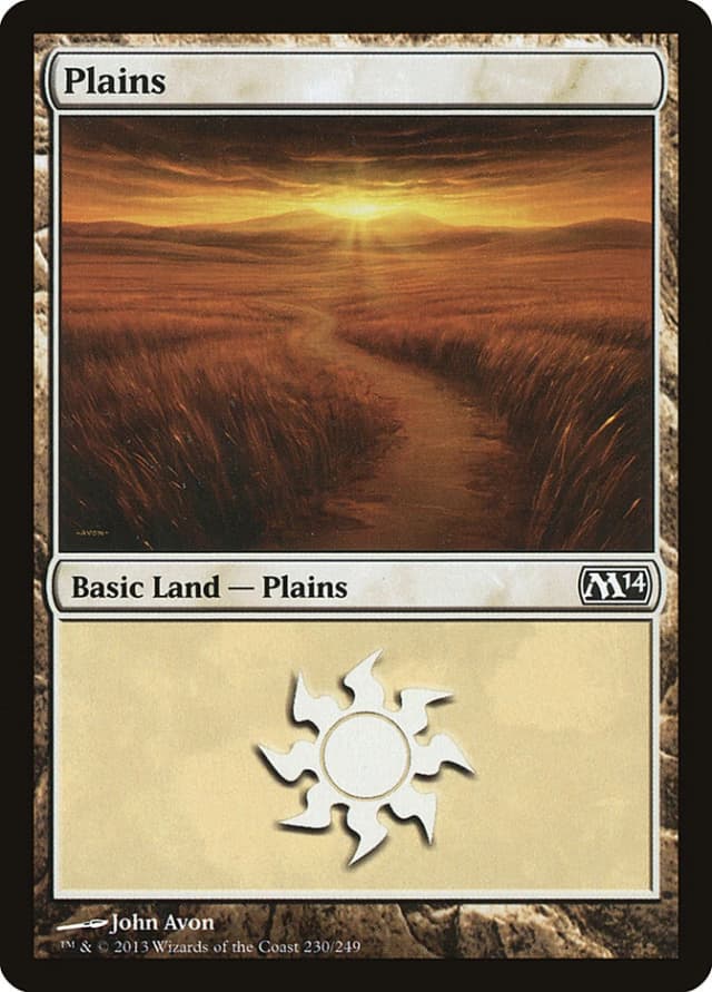Plains image