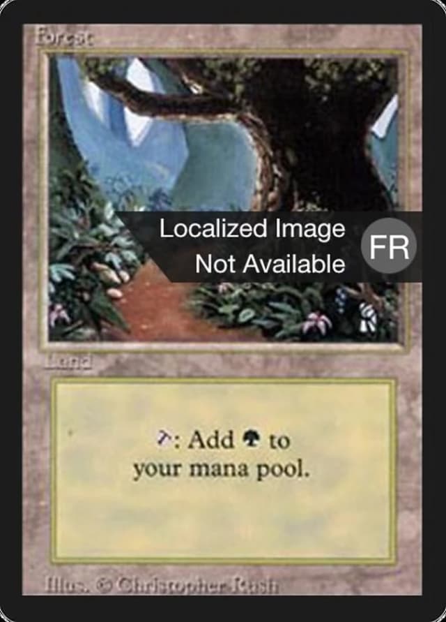 Forest image