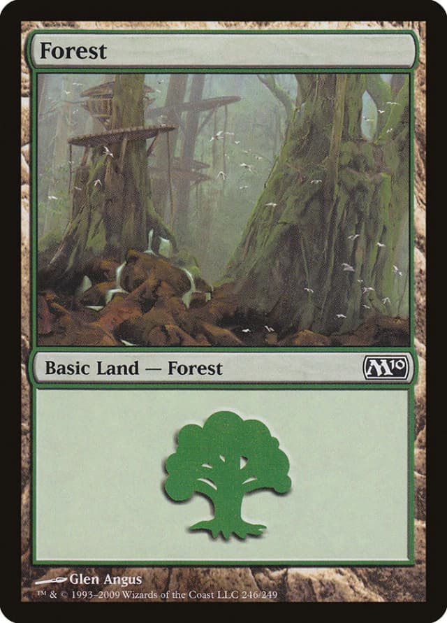 Forest image