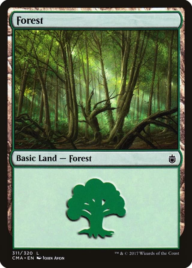 Forest image