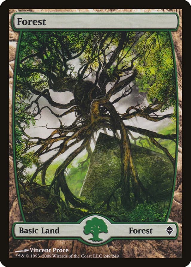 Forest image