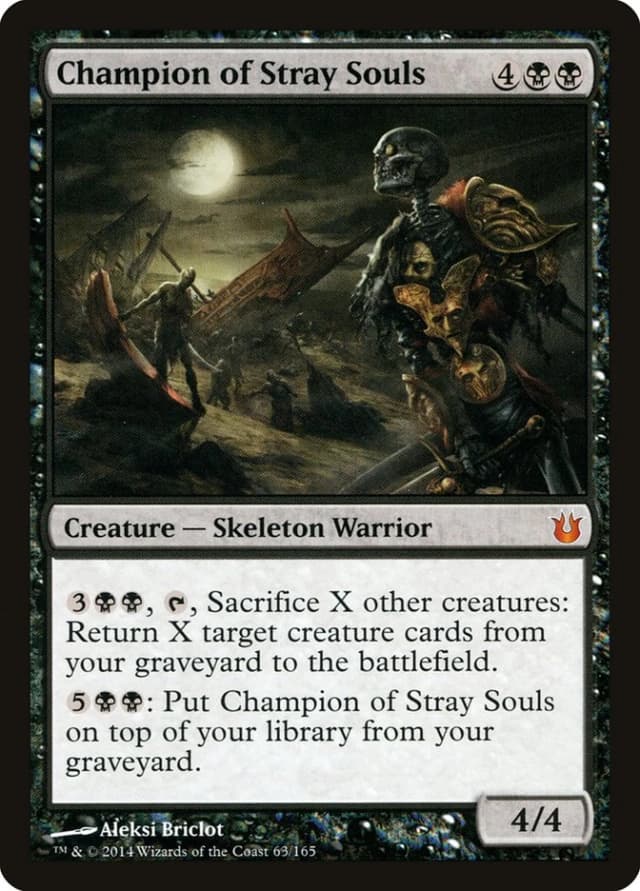 Champion of Stray Souls image