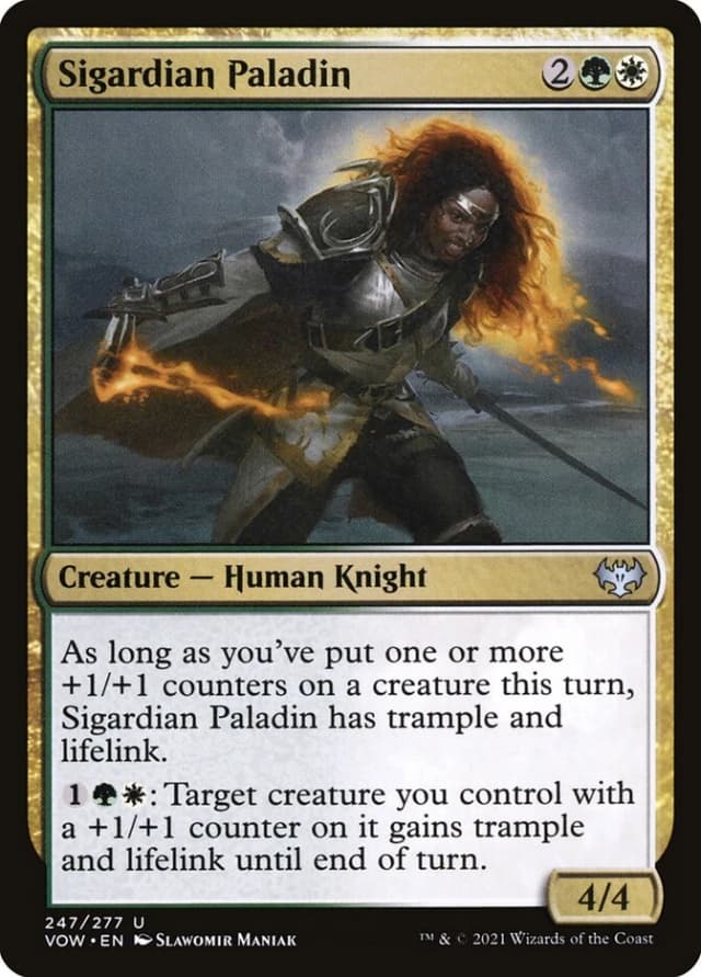 Sigardian Paladin image