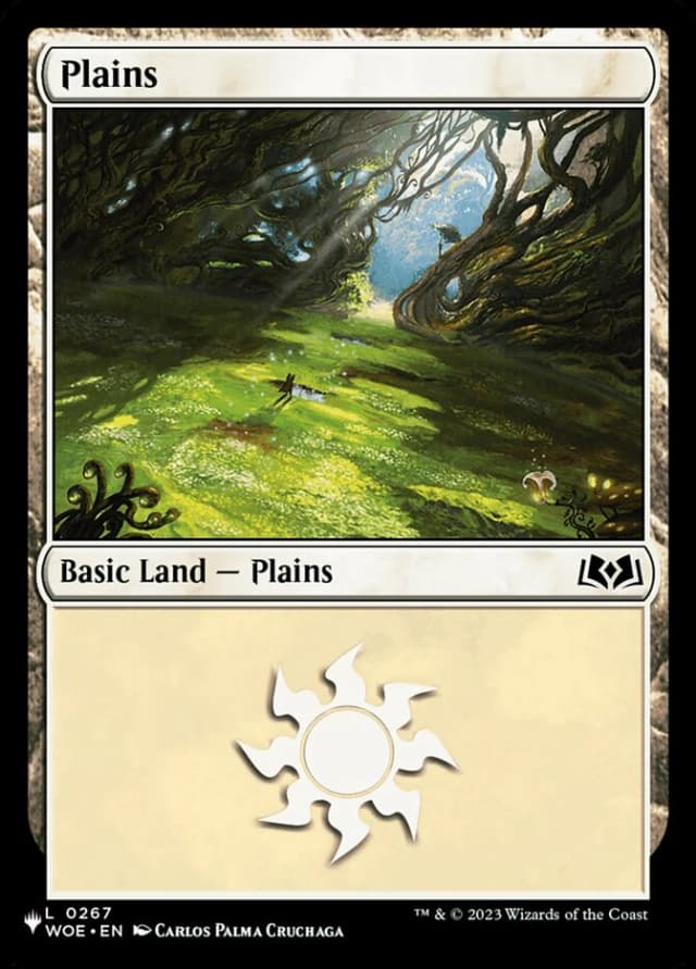 Plains image