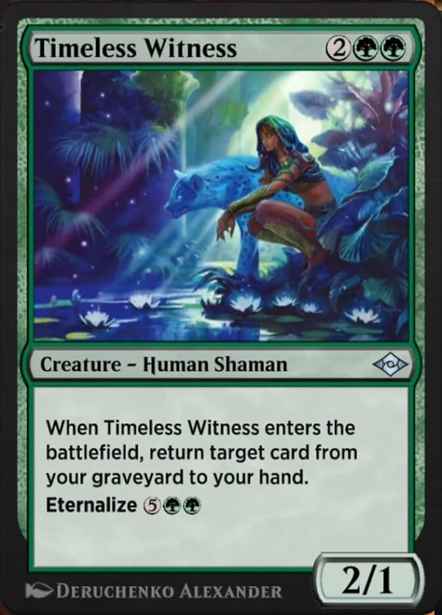 Timeless Witness image