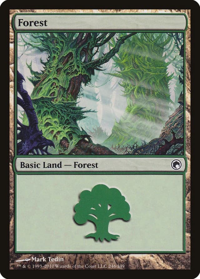 Forest image
