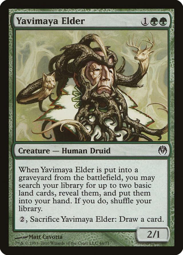 Yavimaya Elder image