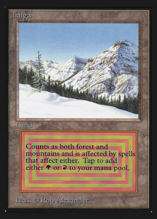 Taiga image