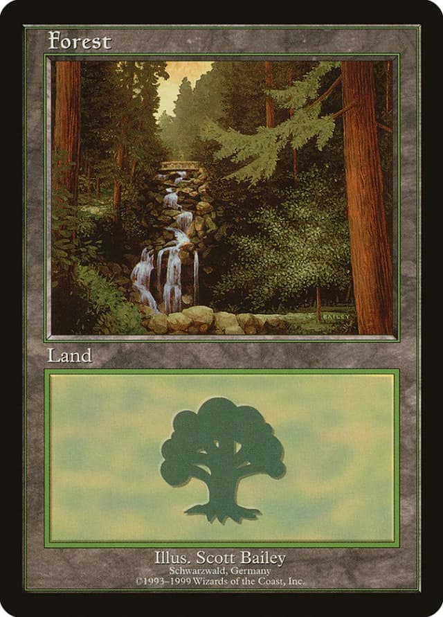 Forest image
