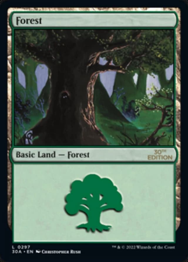 Forest image