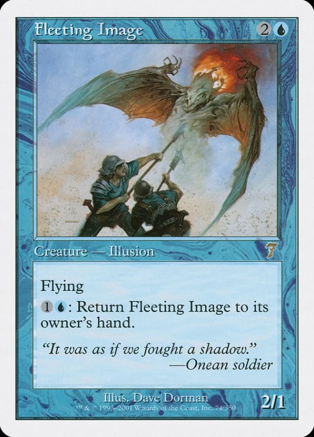 Fleeting Image image