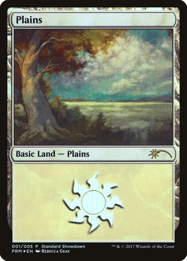 Plains image