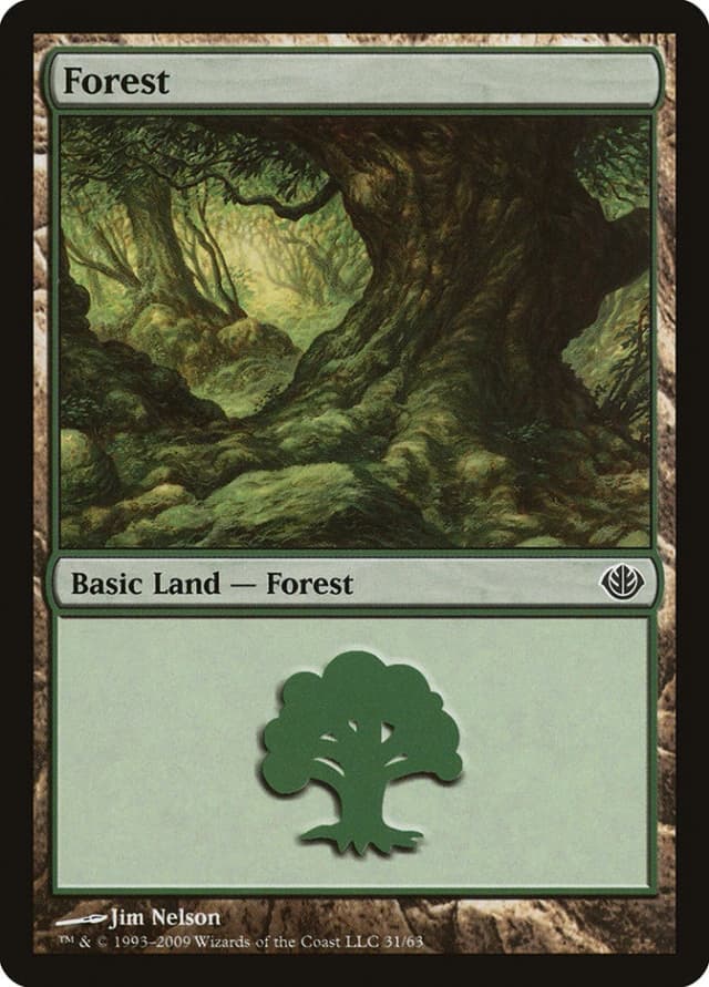 Forest image