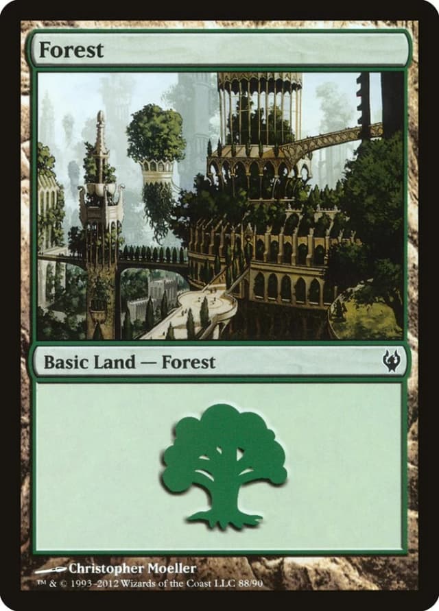 Forest image