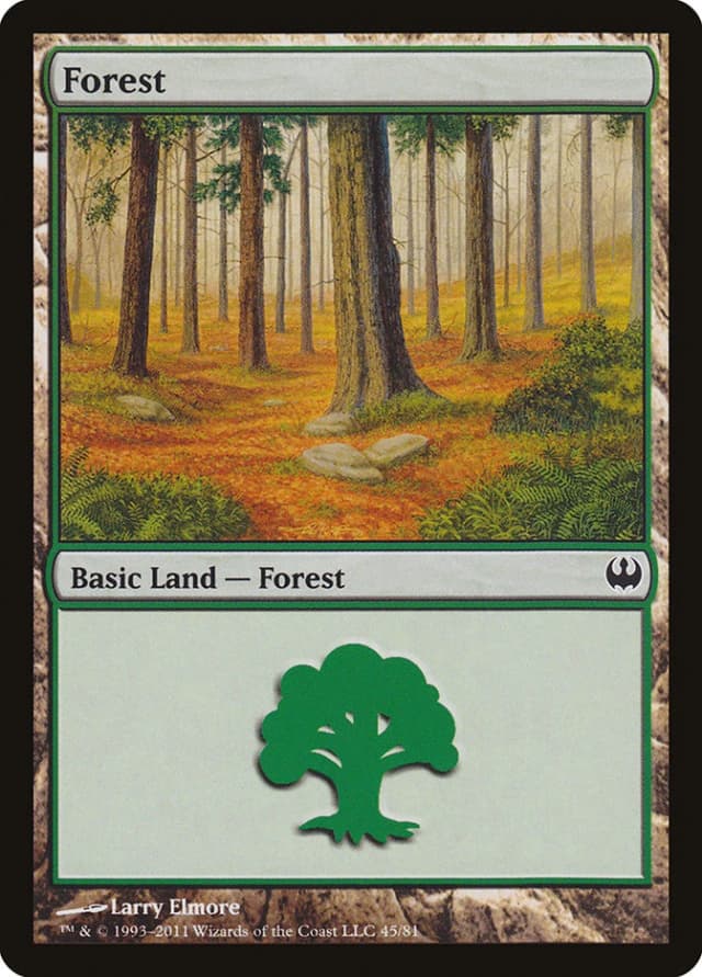 Forest image