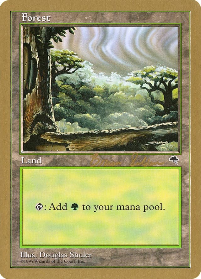 Forest image