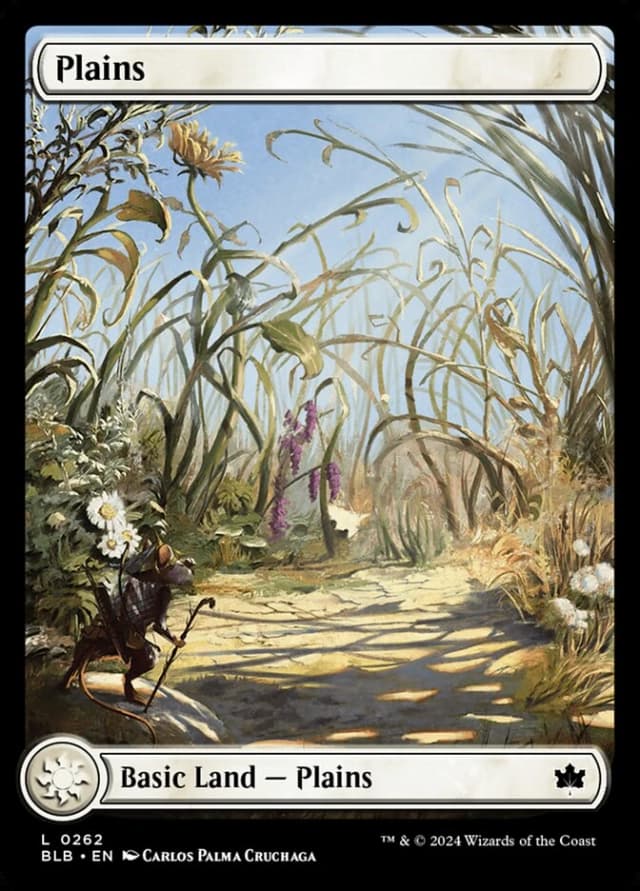 Plains image
