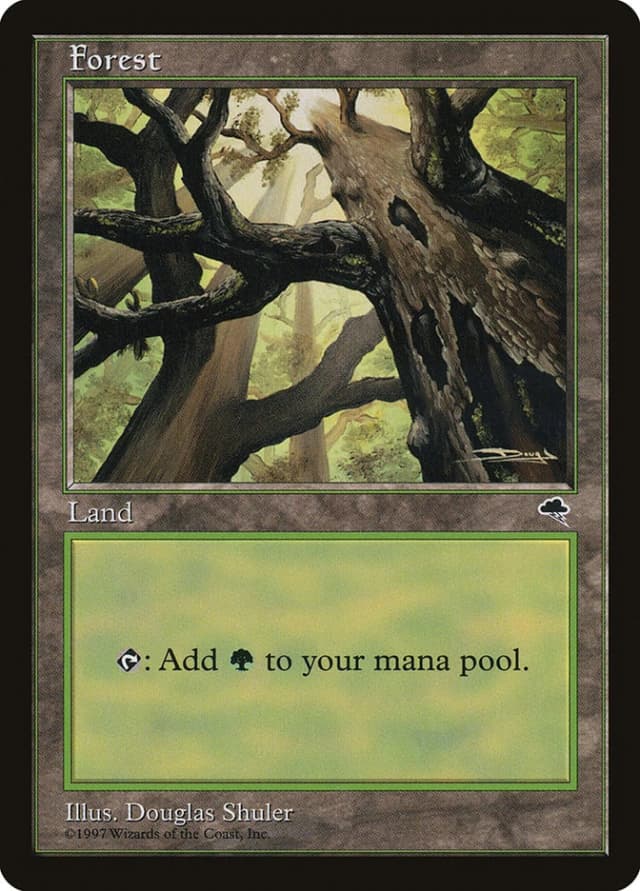 Forest image