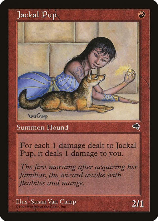 Jackal Pup image