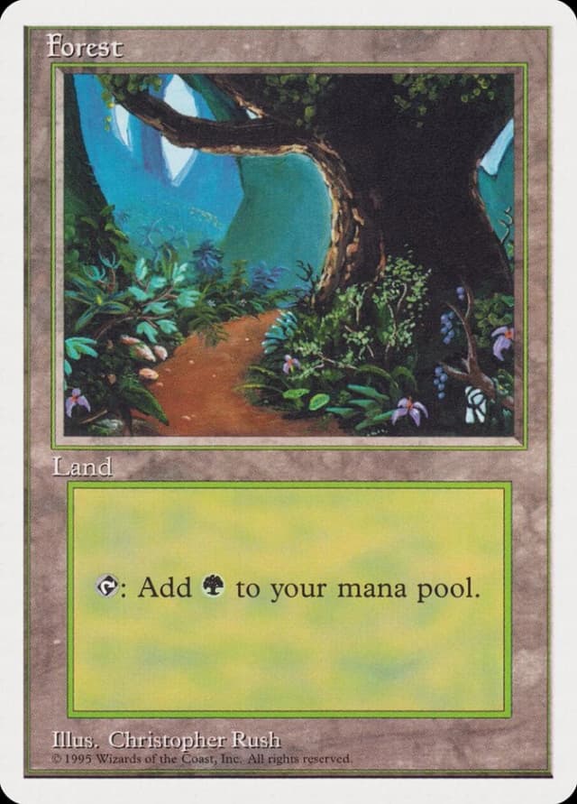 Forest image