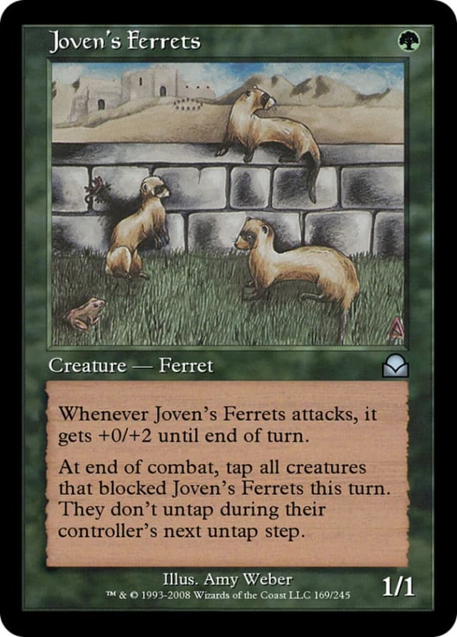 Joven's Ferrets image
