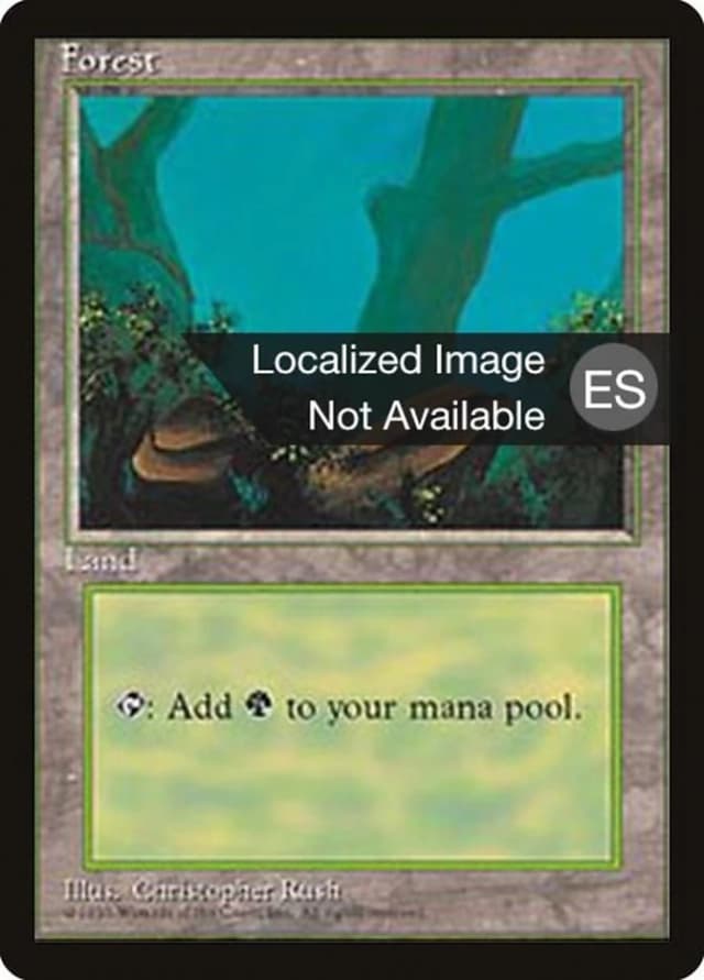 Forest image
