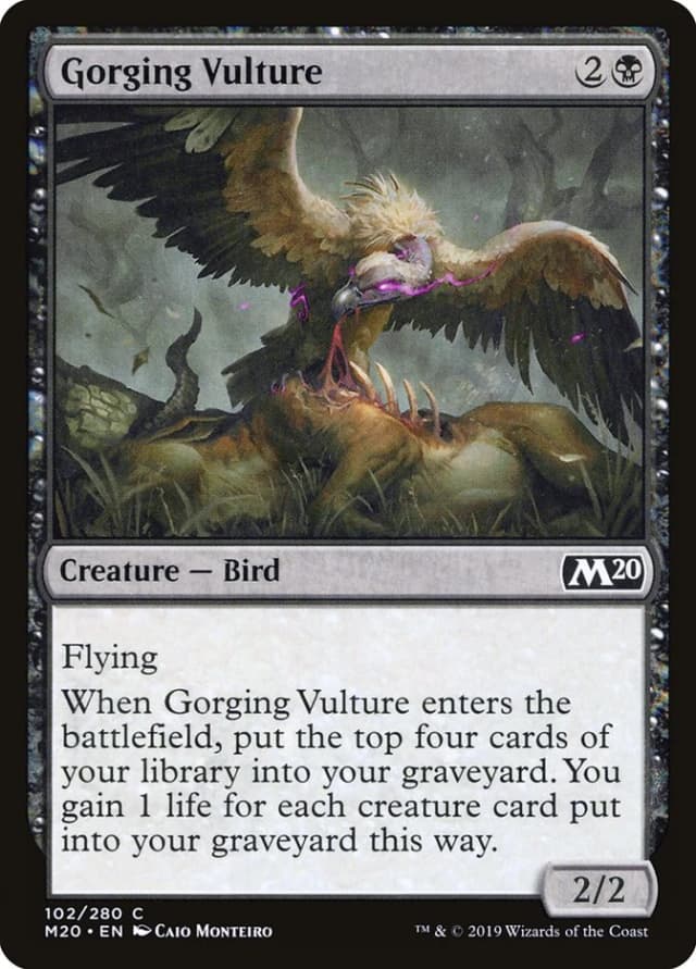 Gorging Vulture image