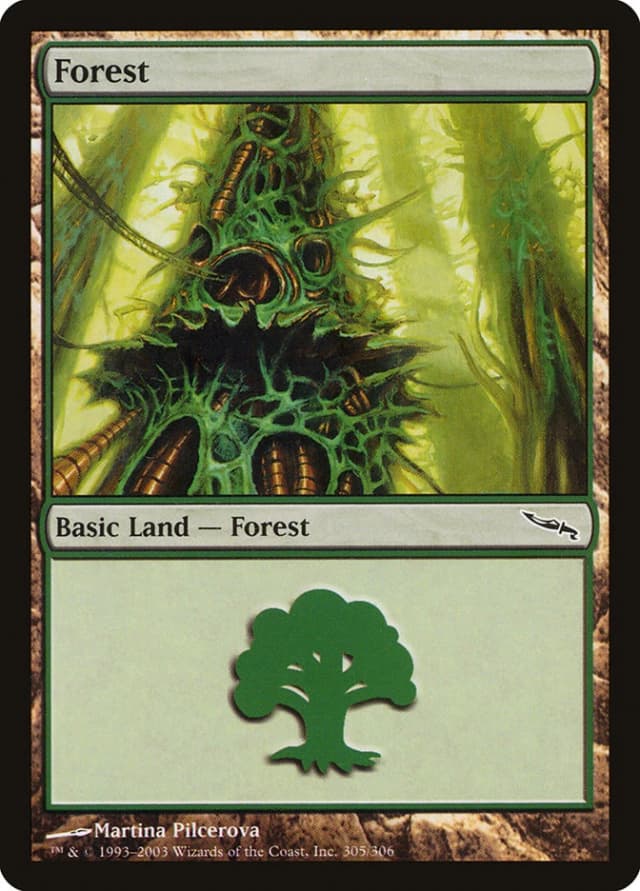 Forest image