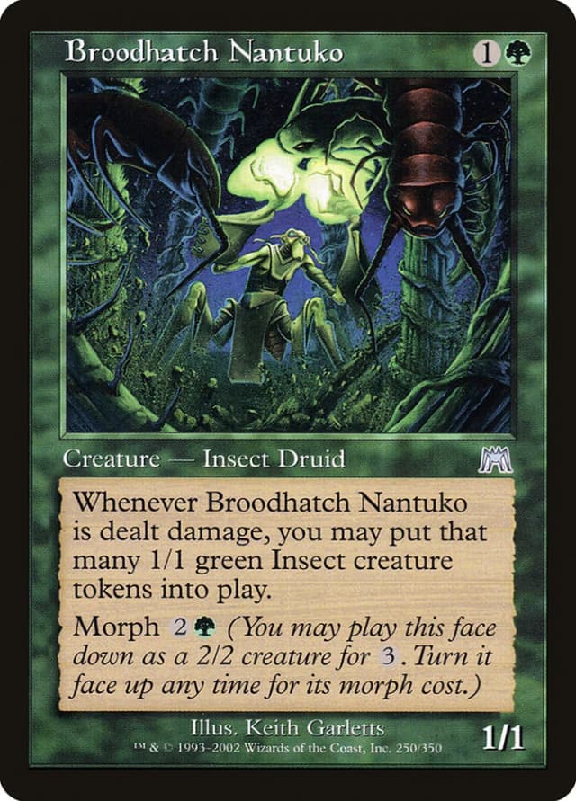 Broodhatch Nantuko image