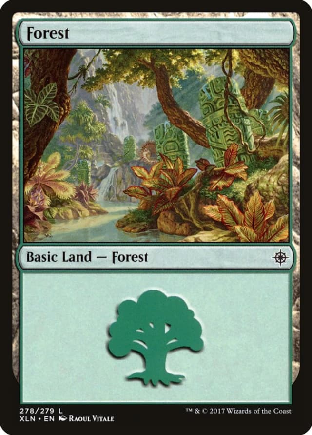 Forest image