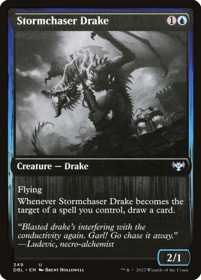 Stormchaser Drake image