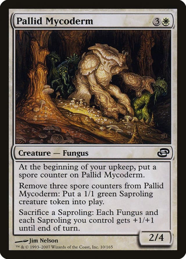 Pallid Mycoderm image