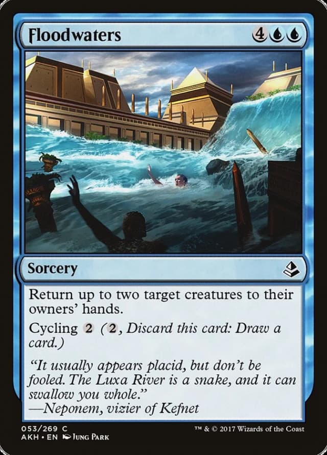 Floodwaters image