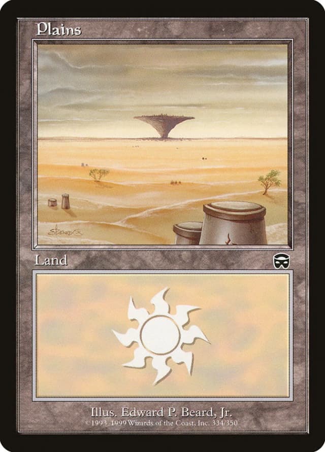 Plains image