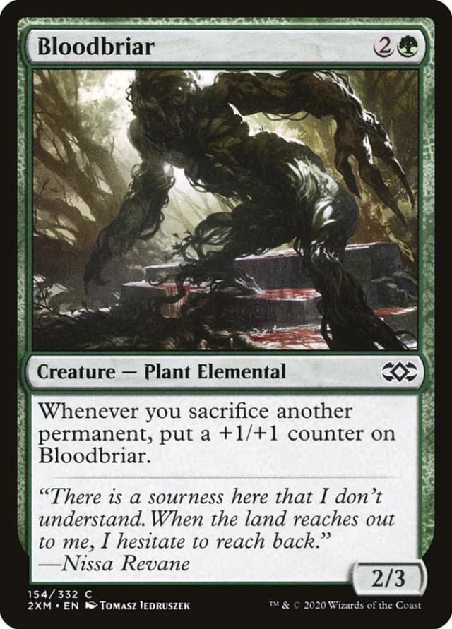 Bloodbriar image